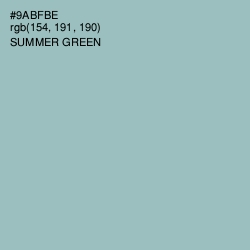 #9ABFBE - Summer Green Color Image